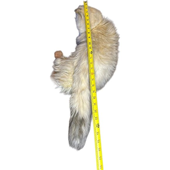 VTG Russ Berrie Yomiko Realistic Himalayan Cat Kitten Green Eyes Korea HTF - Picture 10 of 16